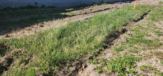 Terrain à bâtir à Sérézin-du-Rhône, Auvergne-Rhône-Alpes
