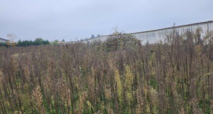 Taponas Maison neuve - 2325654-11092annonce320250623GdHJH.jpeg Maisons France Confort