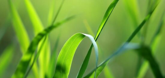 Terrain à bâtir à Les Grandes-Ventes, Normandie