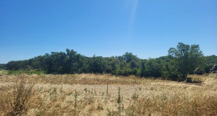 Montagnac Terrain à bâtir - 2328913-11556annonce120251105Z1dTd.jpeg Maisons France Confort