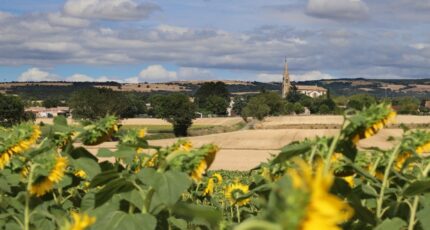 Peyrens Terrain à bâtir - 2329017-10986annonce1202511054qixX.jpeg Maisons France Confort