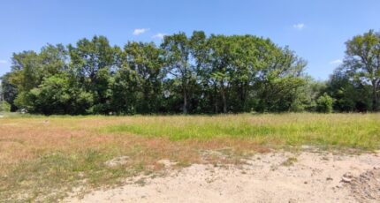 Brissac-Quincé Terrain à bâtir - 2329319-10544annonce120251105Cqbzh.jpeg Maisons France Confort