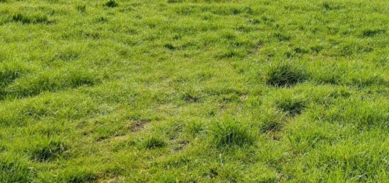 Terrain à bâtir à Pignans, Provence-Alpes-Côte d'Azur