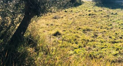 Pignans Maison neuve - 2327103-9707annonce120251104LMD5J.jpeg Maisons France Confort