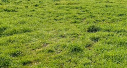 Pignans Maison neuve - 2327149-9707annonce120251104fedUQ.jpeg Maisons France Confort