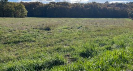 Saint-Selve Maison neuve - 2326549-11306annonce120251103uXQUN.jpeg Maisons France Confort