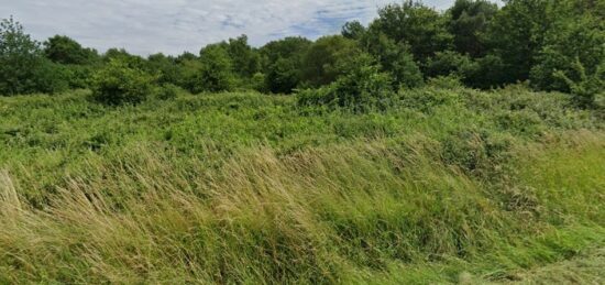 Terrain à bâtir à Saint-Savin, Nouvelle-Aquitaine
