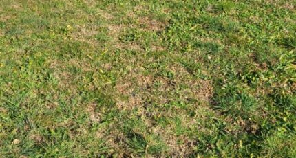 Flassans-sur-Issole Maison neuve - 2329433-10746annonce120251106DgZ9w.jpeg Maisons France Confort