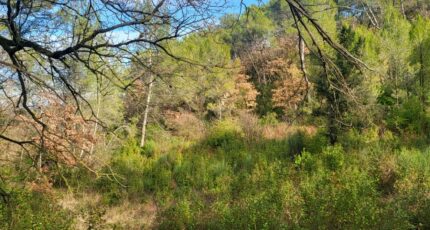 Brignoles Terrain à bâtir - 2329487-10746annonce120251106vqWs6.jpeg Maisons France Confort