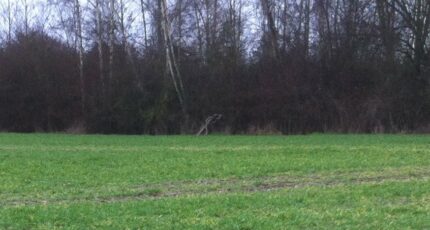 Montesson Maison neuve - 2287913-3611annonce120250930i3LZ3.jpeg Maisons France Confort