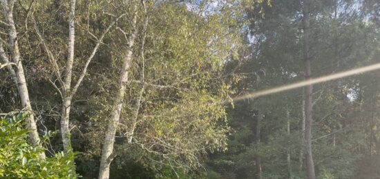 Terrain à bâtir à Saint-Aubin-de-Médoc, Nouvelle-Aquitaine