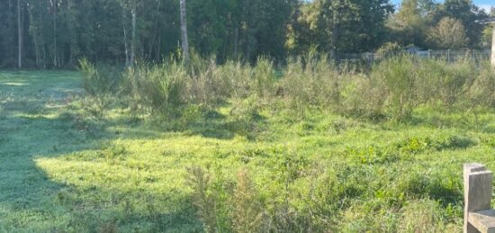 Terrain à bâtir à Le Taillan-Médoc, Nouvelle-Aquitaine