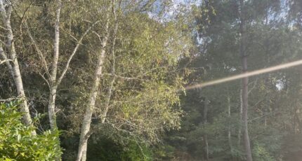 Saint-Aubin-de-Médoc Maison neuve - 2288081-11016annonce120250930RFAcB.jpeg Maisons France Confort