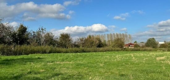 Maison neuve à , Nord