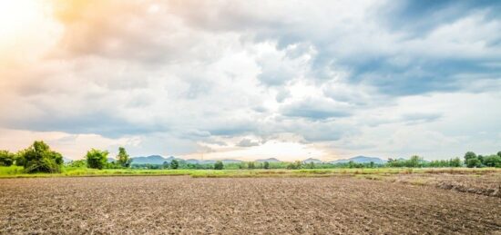 Terrain à bâtir à Chinon, Centre-Val de Loire