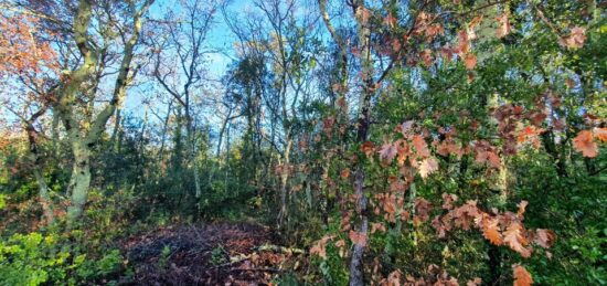 Terrain à bâtir à , Ardèche