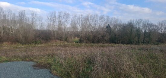 Terrain à bâtir à Vaux-sur-Mer, Nouvelle-Aquitaine