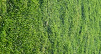 Saint-Hilaire-de-Riez Terrain à bâtir - 2257637-annonceTerrain-20251211143758.JPEG Maisons France Confort