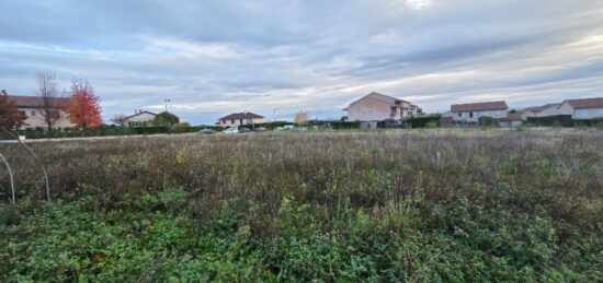 Terrain à bâtir à Odenas, Auvergne-Rhône-Alpes