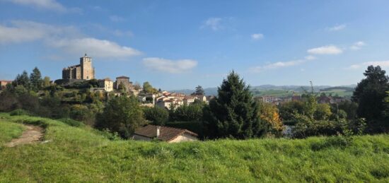 Terrain à bâtir à Saint-Symphorien-sur-Coise, Auvergne-Rhône-Alpes