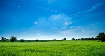 Saint-Germain-en-Laye Maison neuve - 2301062-10436annonce120251010lef6f.jpeg Maisons France Confort