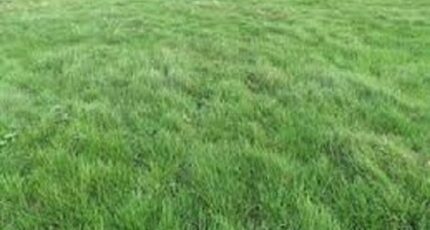 Voulx Terrain à bâtir - 2334997-7255annonce120251112UsfKf.jpeg Maisons France Confort