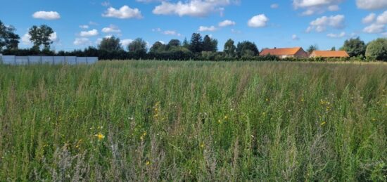 Terrain à bâtir à Audruicq, Hauts-de-France