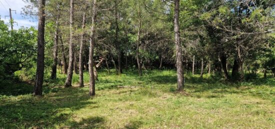 Terrain à bâtir à Flayosc, Provence-Alpes-Côte d'Azur