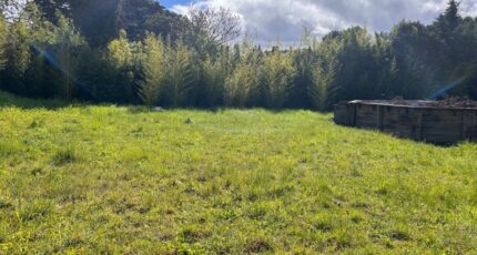 Flayosc Terrain à bâtir - 2267731-3951annonce120250911HCw96.jpeg Maisons France Confort