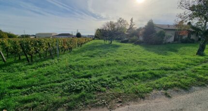 Saint-Magne-de-Castillon Maison neuve - 2336004-11687annonce120251112TaKWl.jpeg Maisons France Confort