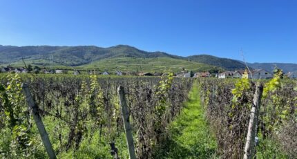 Wintzenheim Maison neuve - 2336111-11028annonce120251113WTZCl.jpeg Maisons France Confort