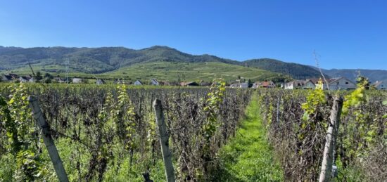 Terrain à bâtir à Wintzenheim, Grand Est