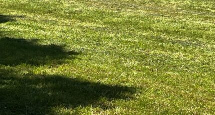 Geay Maison neuve - 2338751-10974annonce120251114FBS6Z.jpeg Maisons France Confort