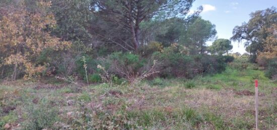 Terrain à bâtir à Puget-sur-Argens, Provence-Alpes-Côte d'Azur