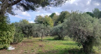 Ventabren Terrain à bâtir - 2338627-11680annonce520251114Zu8pW.jpeg Maisons France Confort