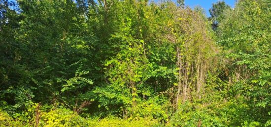 Terrain à bâtir à , Alpes-Maritimes