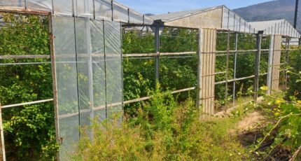 Carros Maison neuve - 2274669-10316annonce320250917QWTNT.jpeg Maisons France Confort