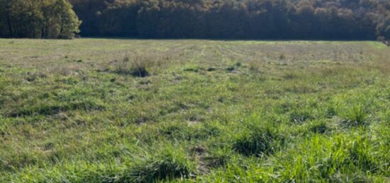Terrain à bâtir à Landiras, Nouvelle-Aquitaine