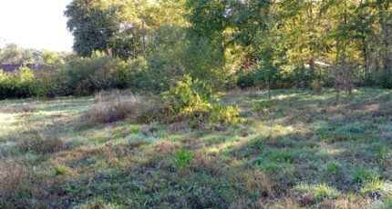 Tresses Terrain à bâtir - 2339894-11596annonce1202511175aZgn.jpeg Maisons France Confort