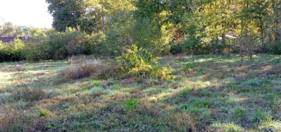 Terrain à bâtir à Tresses, Nouvelle-Aquitaine