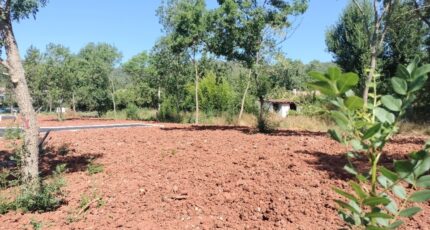 Le Luc Terrain à bâtir - 2254395-9891annonce220250829Nz7Xf.jpeg Maisons France Confort