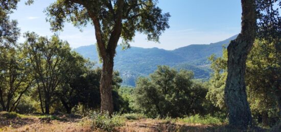 Terrain à bâtir à , Var
