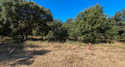 Les Mayons Maison neuve - 2287771-10025annonce620250930c4DqP.jpeg Maisons France Confort