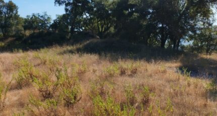 Les Adrets-de-l'Estérel Maison neuve - 2289575-10025annonce120251006dfTLI.jpeg Maisons France Confort