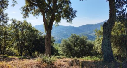 Les Adrets-de-l'Estérel Maison neuve - 2289575-10025annonce320251001gPHZm.jpeg Maisons France Confort