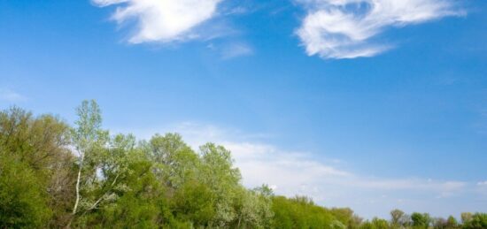 Terrain à bâtir à Le Teich, Nouvelle-Aquitaine