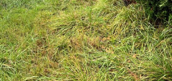 Terrain à bâtir à Mios, Nouvelle-Aquitaine