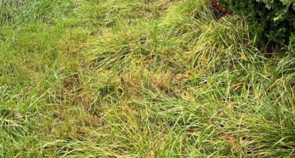 Mios Maison neuve - 2341033-11279annonce120251117t3xqt.jpeg Maisons France Confort