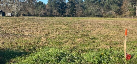 Terrain à bâtir à Grignols, Nouvelle-Aquitaine