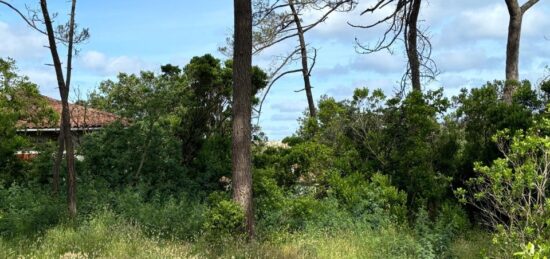 Terrain à bâtir à Andernos-les-Bains, Nouvelle-Aquitaine